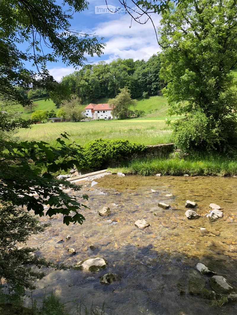 Renovated Farmhouse near La Côte International School (LCIS) – 300 m2 Family Home with Large Garden (2)