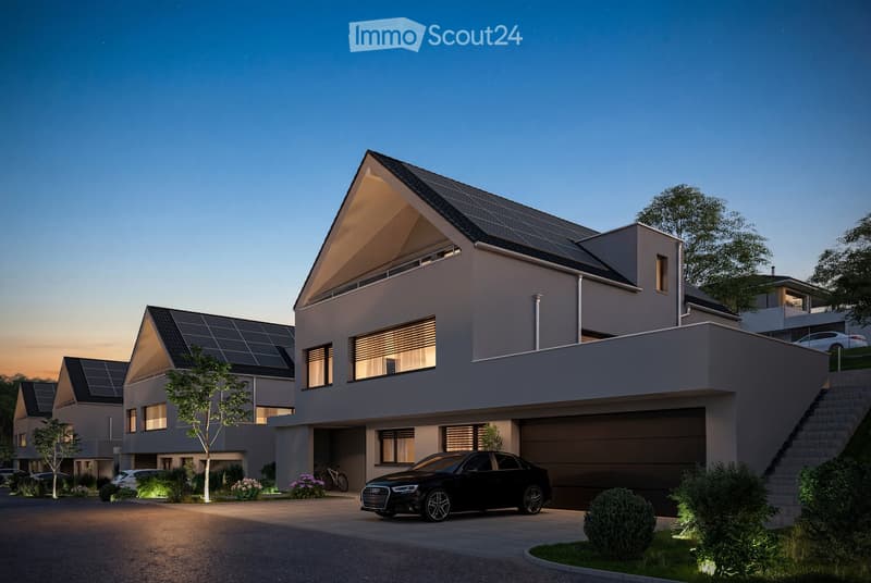 Modern house, solar panels, garage, driveway, landscaped garden