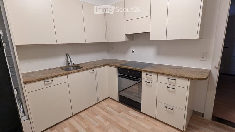 modern kitchen, granite countertops, integrated appliances, white cabinetry, wooden floor, sink with faucet