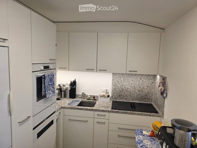 modern kitchen with white cabinets, granite countertops, built-in oven, dishwasher, induction stove, sink, faucet, and various kitchen utensils