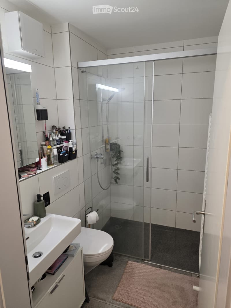 Bathroom with shower, toilet, sink, mirror, and shelves with toiletries
