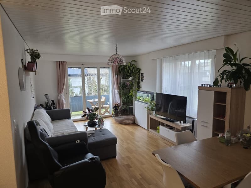 wooden floor, gray couch, black armchair, TV, wooden table, white chairs, balcony, plants, view of the outside
