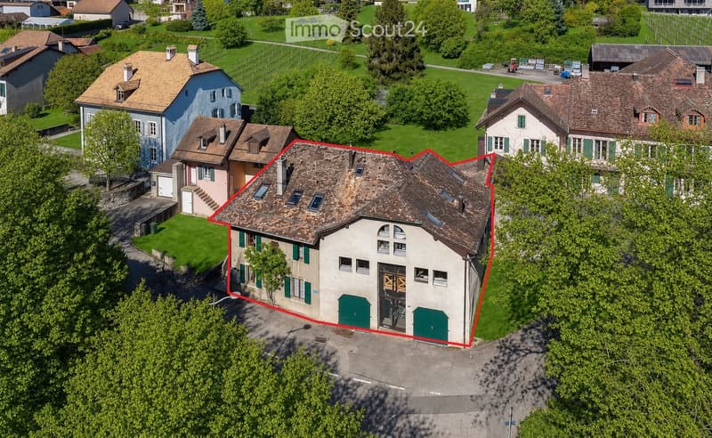 Aerial view of a residential area with multiple houses, green lawns, and trees. The main house features a brown tiled roof, white walls, and green shutters, surrounded by a driveway and greenery.