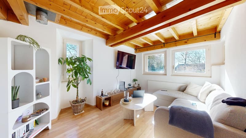 Living room with wooden floor, white walls, wooden ceiling, couch, coffee table, TV, plants, shelves, desk, laptop, and windows