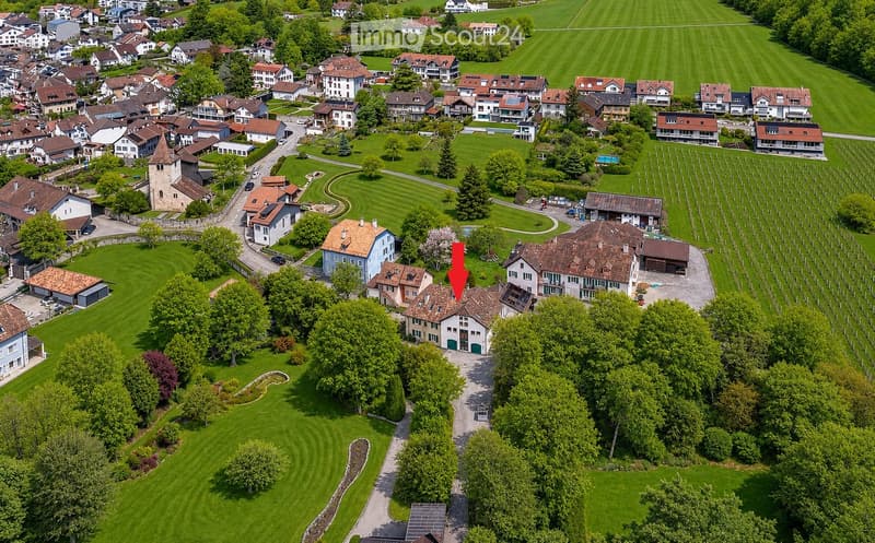 Aerial view of a residential area with multiple houses, green lawns, trees, and a vineyard in the background.