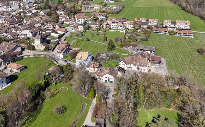 Aerial view of a village with many houses, green fields, and trees.
