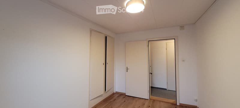 Empty room with white walls, wooden floor, three doors, ceiling light