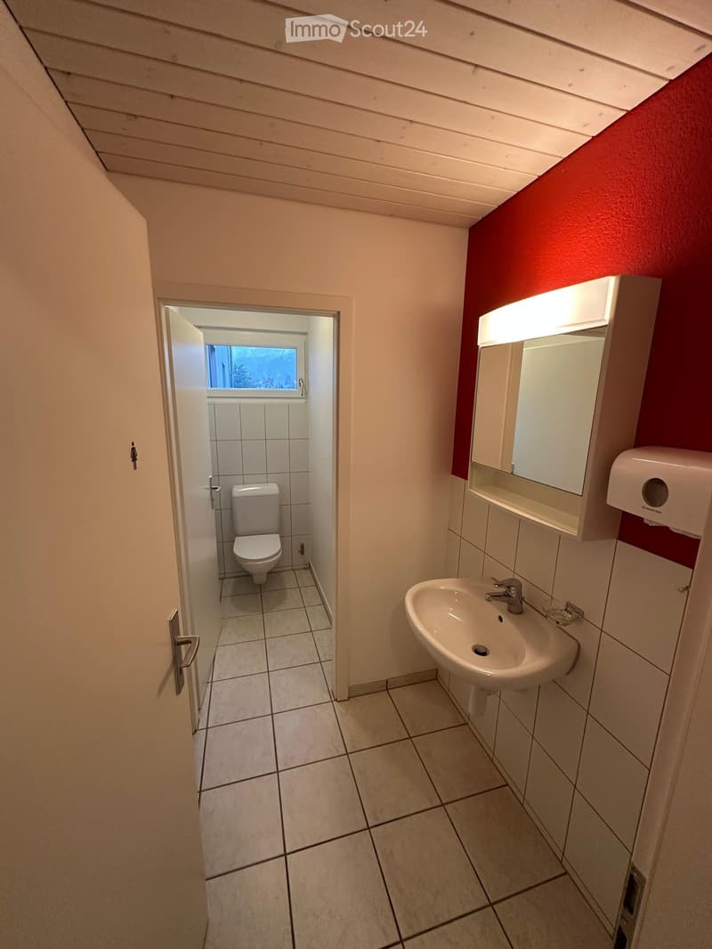 Small bathroom with toilet, sink, mirror, and red wall