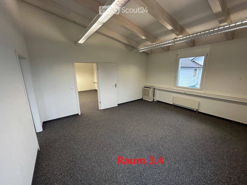 empty room, white walls, gray carpet, two doors, window, ceiling lights