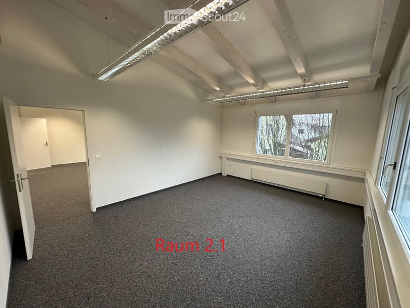 Empty room, carpeted floor, white walls, two windows, two doors, ceiling lights