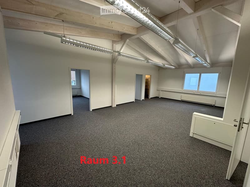 empty room, white walls, gray carpet, wooden beams, fluorescent lights, windows, doors