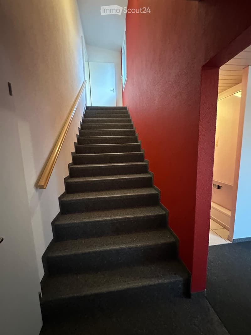 Concrete staircase with a golden handrail, red wall, white wall, white door, black carpet