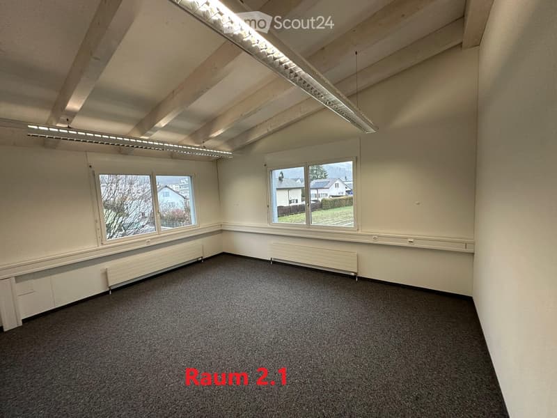 empty room, white walls, gray carpet, two windows, two radiators, ceiling lights