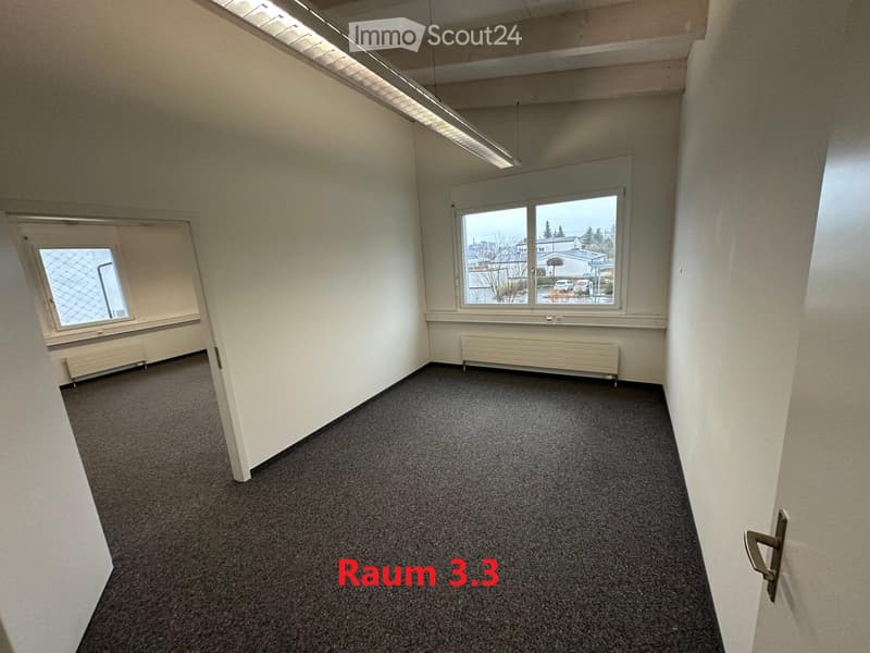 empty room, white walls, gray carpet, two windows, radiators, ceiling lamp
