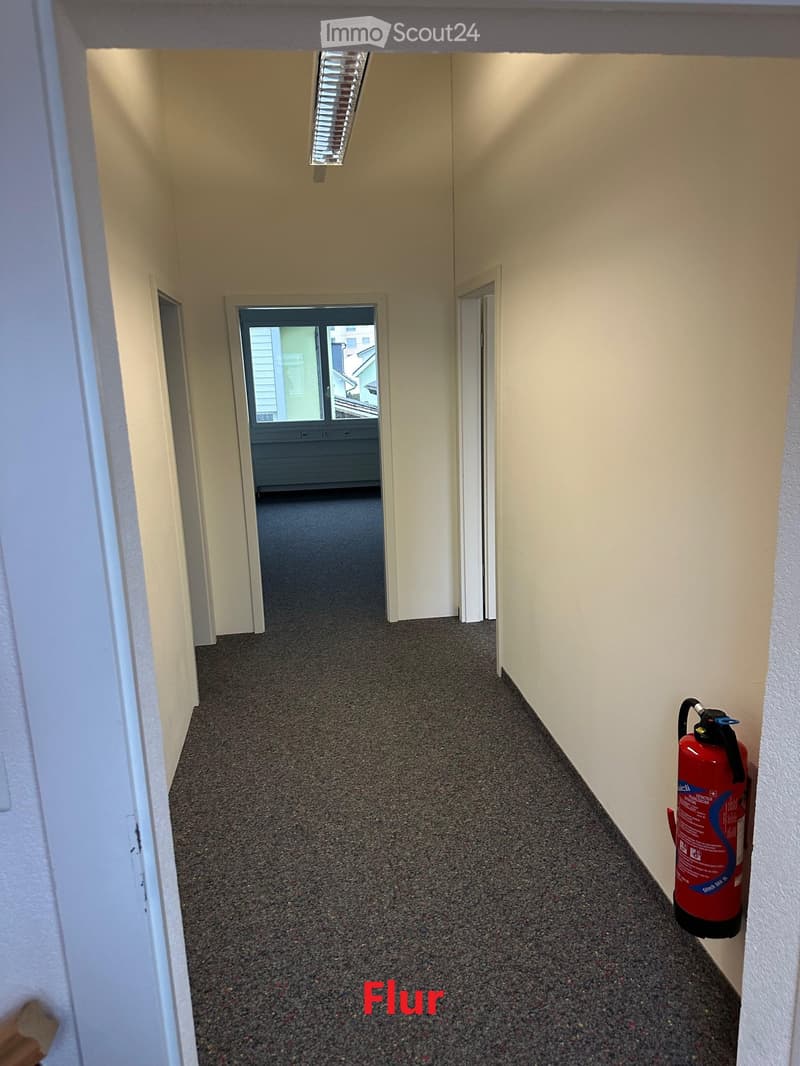 Empty hallway with carpeted floor, white walls, ceiling lights, fire extinguisher on the wall, doors on both sides, and a window at the end.