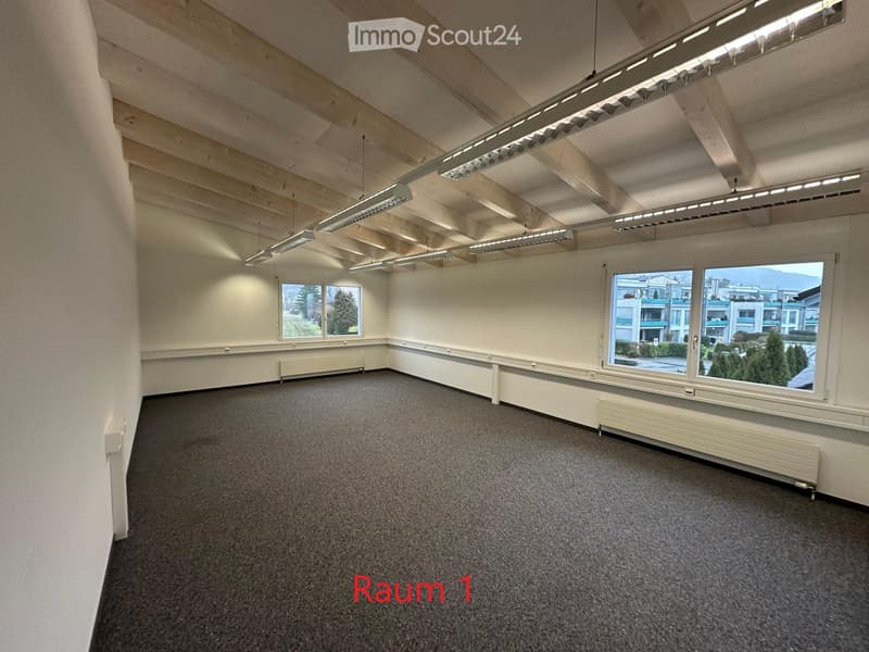 empty room, white walls, wooden ceiling, carpeted floor, large windows, radiators