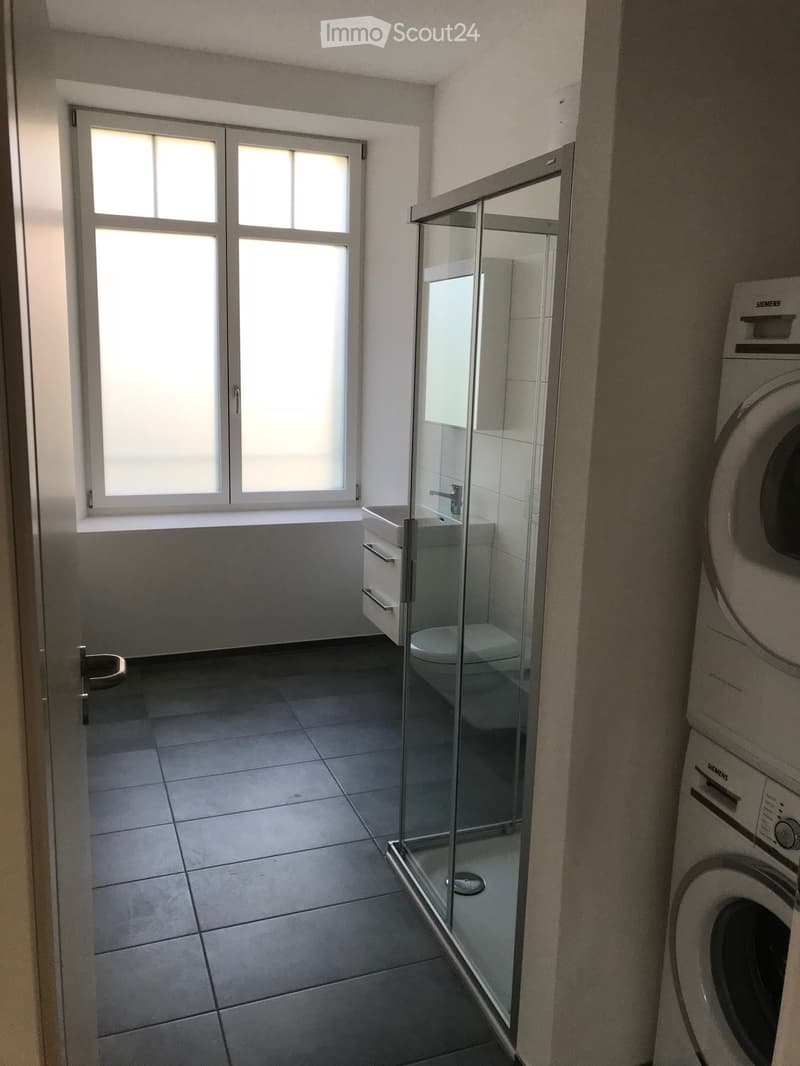 Modern bathroom with tiled floor, glass shower enclosure, white sink, toilet, and washing machine.