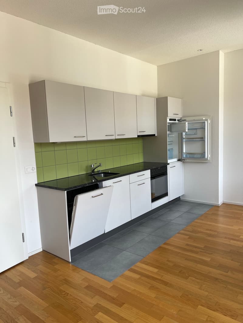 Modern kitchen with white cabinets, black countertops, and stainless steel appliances including a refrigerator, oven, and dishwasher. Green tiled backsplash and wooden flooring.