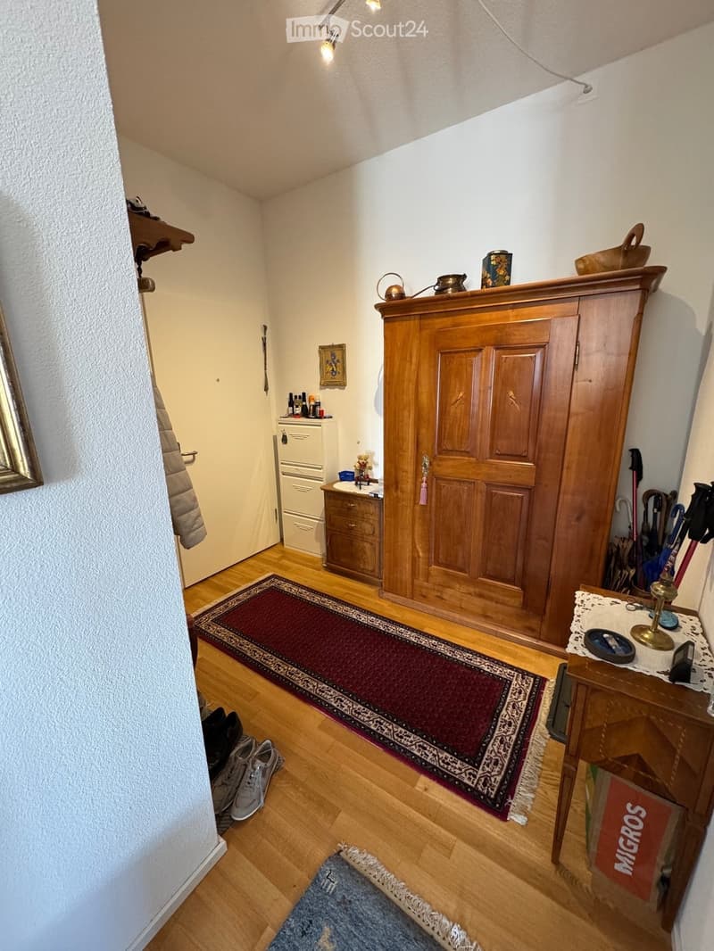 Entrance hall with wooden floor, white walls, wooden cabinet, red rug, white door, wooden desk, umbrellas, shoes, and a picture frame on the wall.