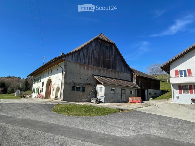 Bauernhof aus Waadt und Villa zum Kauf als Gesamtpaket oder in Teilbereichen (2)