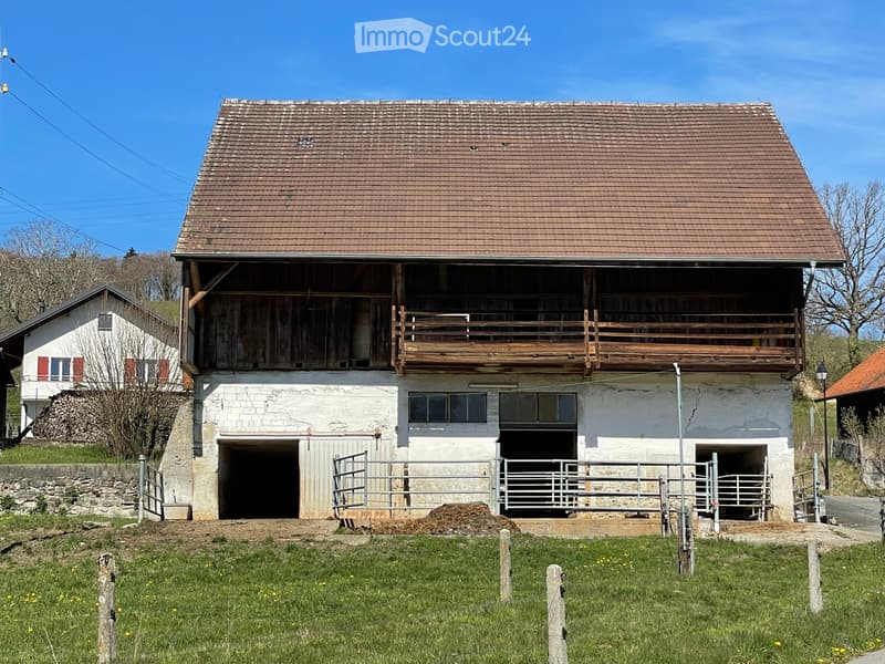 Bauernhof aus Waadt und Villa zum Kauf als Gesamtpaket oder in Teilbereichen (5)
