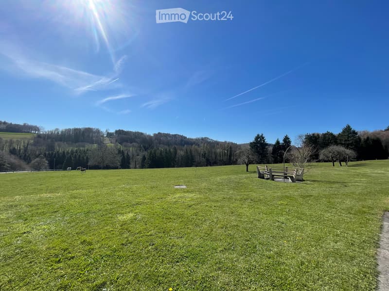 Bauernhof aus Waadt und Villa zum Kauf als Gesamtpaket oder in Teilbereichen (8)