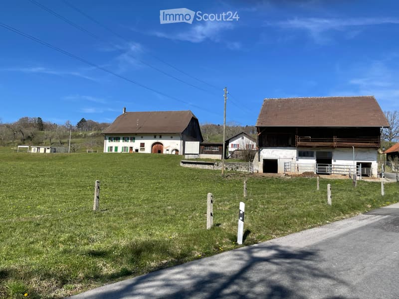 Bauernhof aus Waadt und Villa zum Kauf als Gesamtpaket oder in Teilbereichen (4)