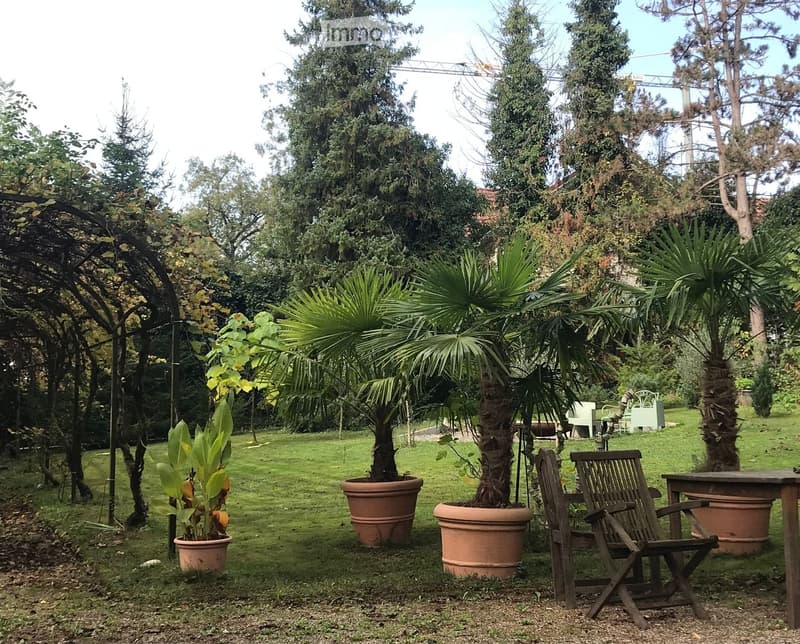 A garden with several potted plants, including palm trees, and a wooden table and chairs.