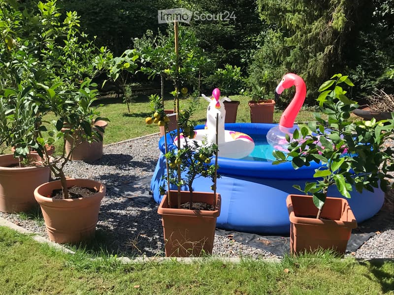 Historic single-family house with 9 rooms in Lauchringen (43)