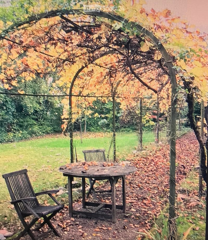 Outdoor seating area with a table and chairs under a pergola covered with vines and autumn leaves.