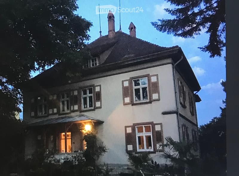 Historic single-family house with 9 rooms in Lauchringen (36)