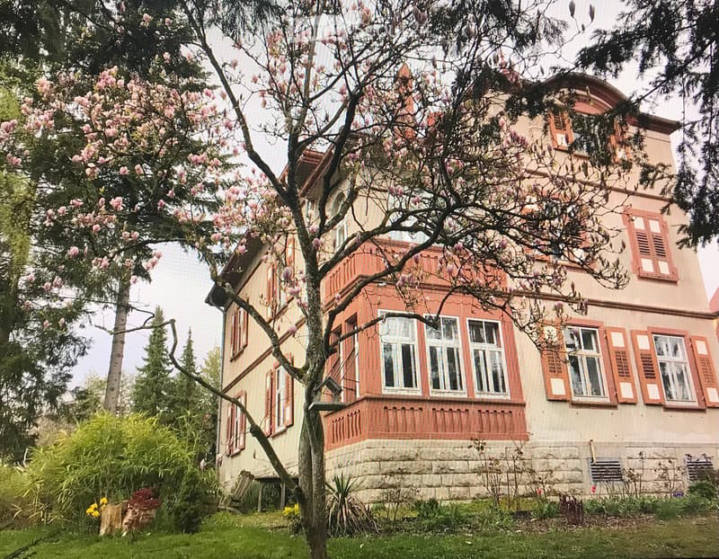 Historic single-family house with 9 rooms in Lauchringen (4)