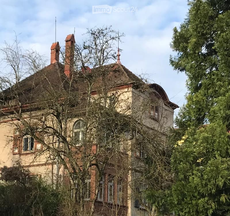2 story house, brown roof, brick walls, 2 chimneys, multiple windows