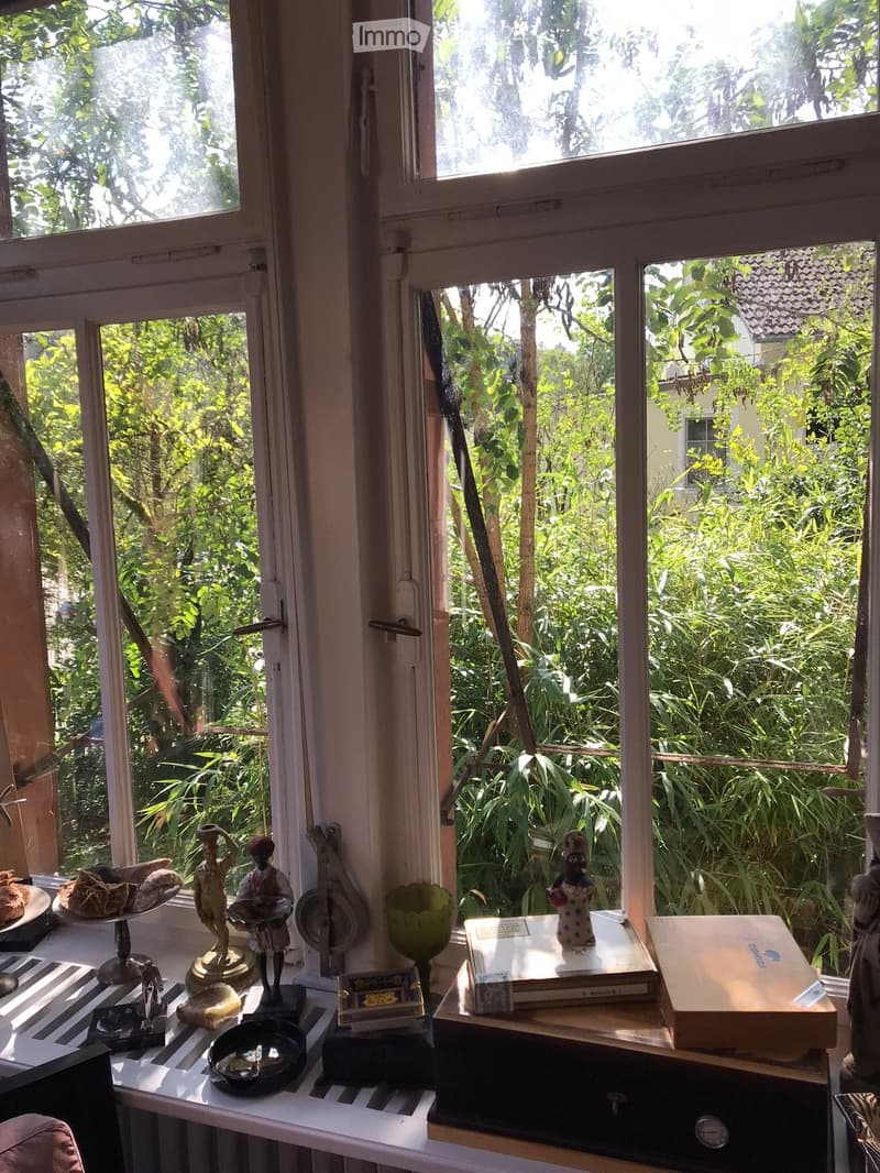 View from the window, showing a garden with trees and plants
