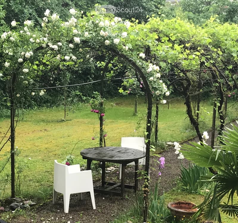 Garden with a table and chairs under a rose arch, surrounded by green grass and plants.