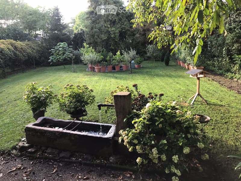 large green lawn, stone water fountain, bird feeder, various potted plants, trees