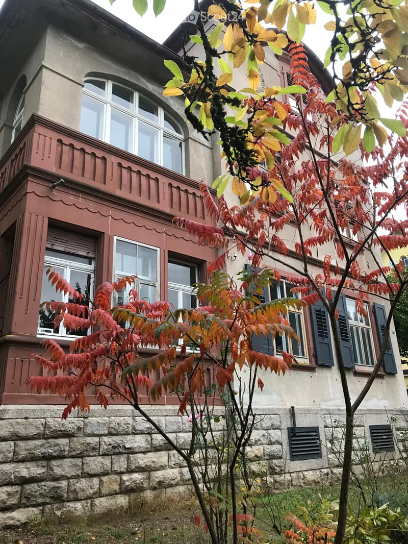 Historic single-family house with 9 rooms in Lauchringen (5)