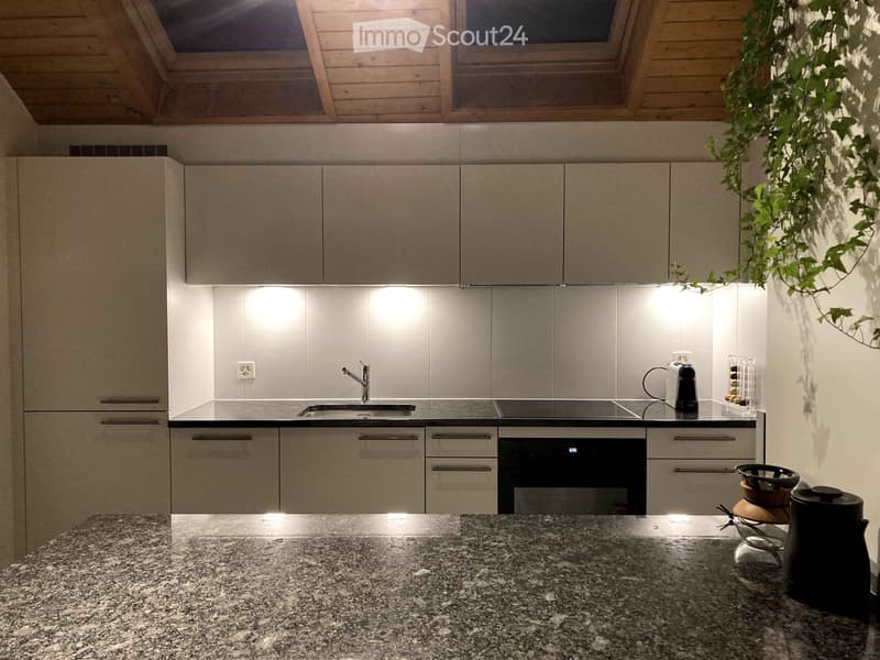Modern kitchen with gray cabinets, granite countertops, built-in oven, and a dishwasher