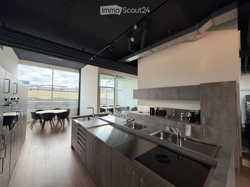 modern kitchen, stainless steel countertops, double sinks, induction cooktop, ample storage, large windows