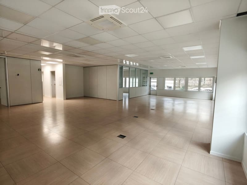 Empty room with white walls, wooden floor, glass doors, and windows
