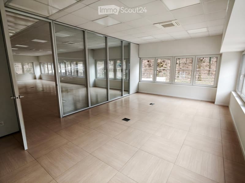 empty room, wooden floor, glass walls, windows, ceiling lights