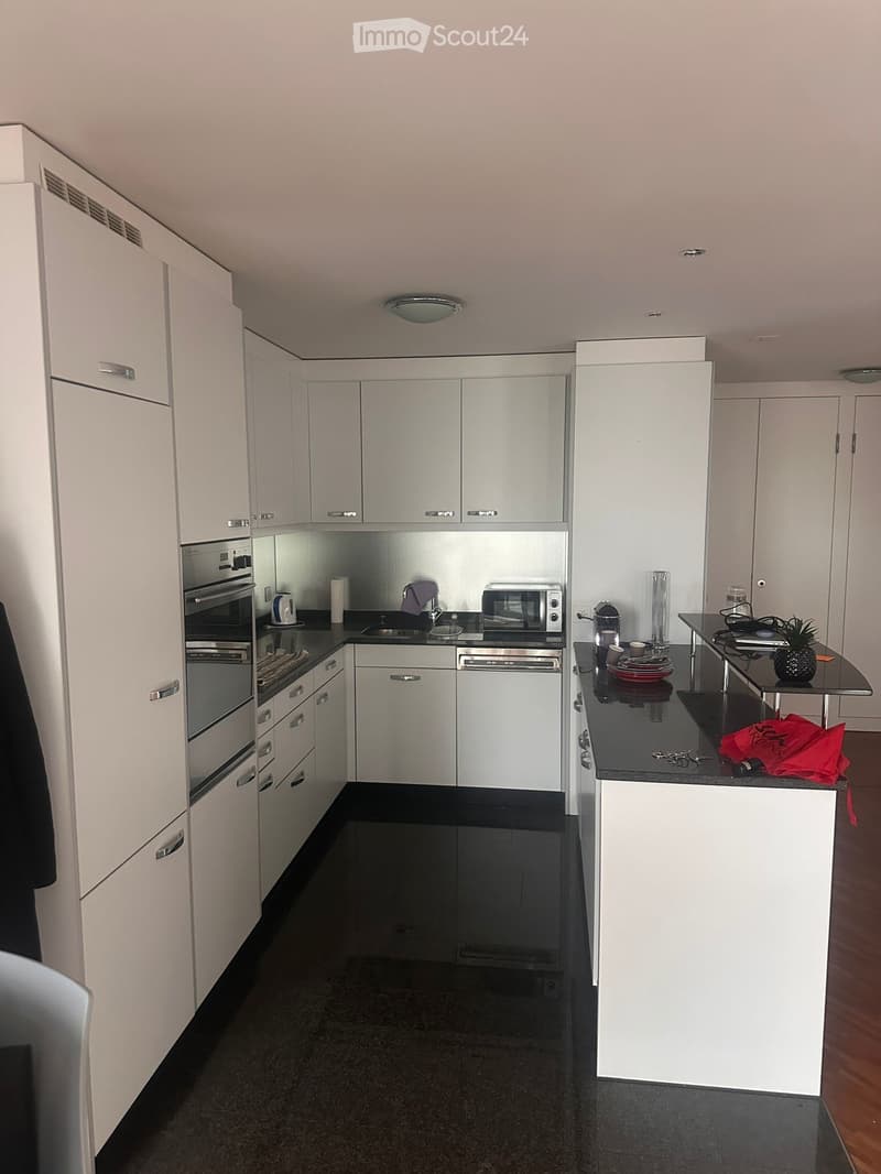 modern kitchen, white cabinets, black countertops, stainless steel appliances, dishwasher, washing machine
