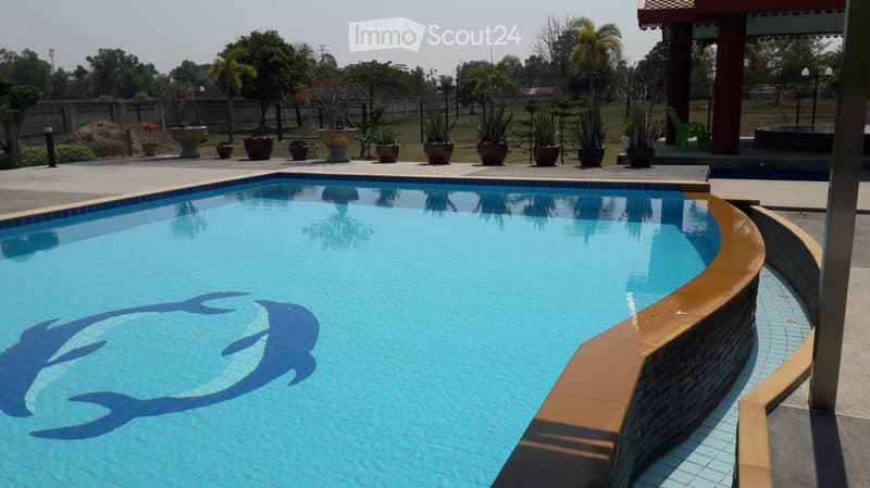 large swimming pool, dolphin design, tiled edge, potted plants, trees, fence