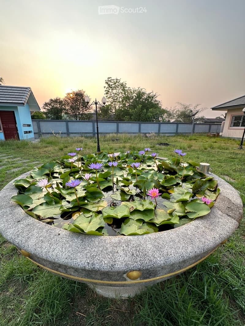 circular pond with water lilies, green grass, trees, houses in the background, street lamp