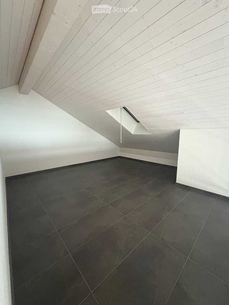empty room, white walls, black tiled floor, slanted ceiling, skylight
