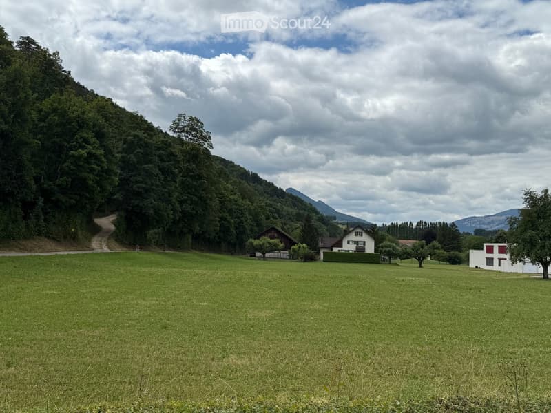 large green field, trees, mountains in the background, two houses