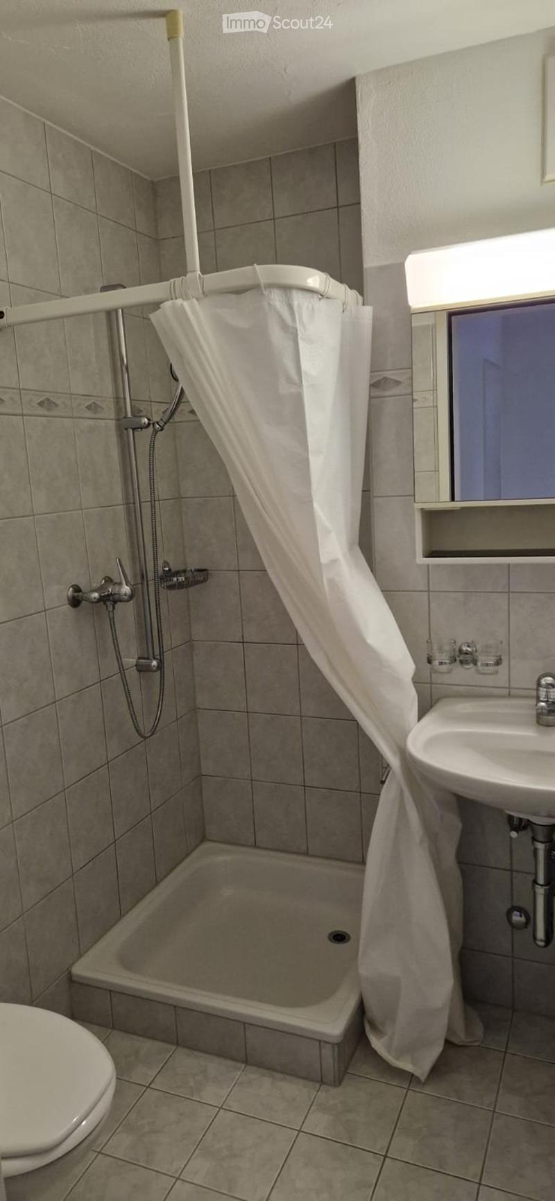 Bathroom with shower, sink, mirror, and toilet