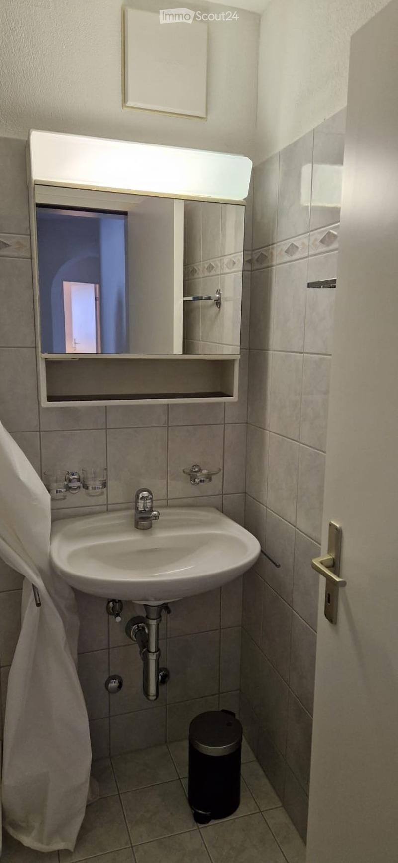 Bathroom with sink, mirror, and a trash can