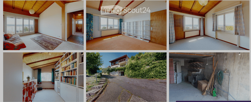 House with multiple rooms, large windows, wooden ceiling, bookshelves, garden, driveway, garage