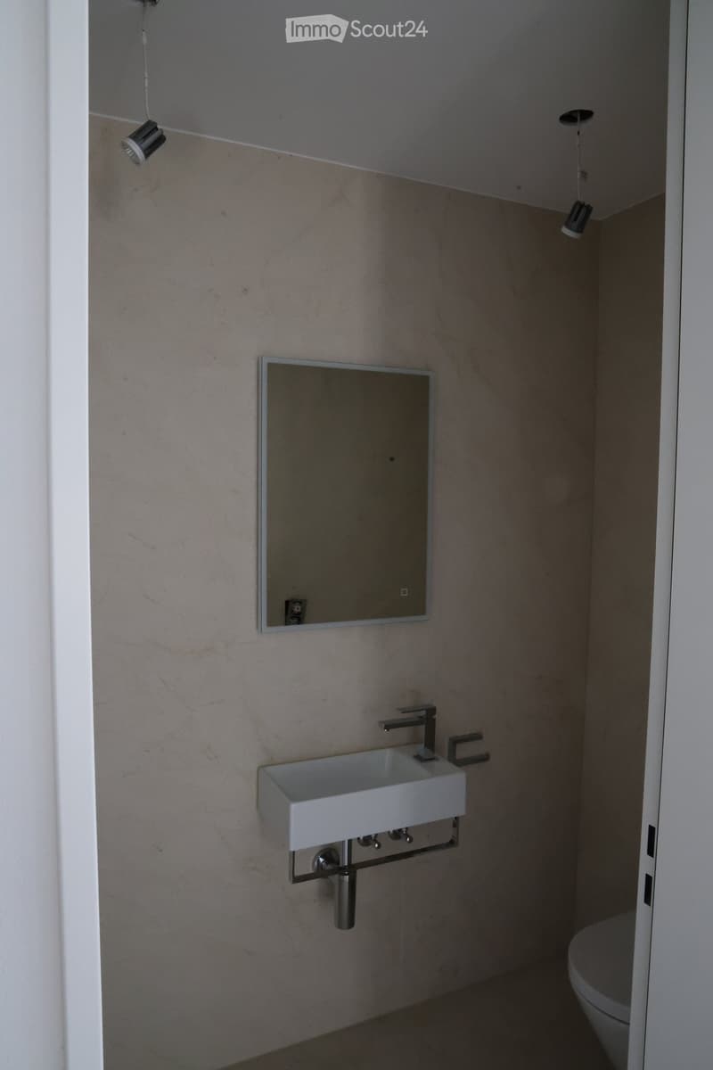 Modern bathroom with a white sink, sleek faucet, rectangular mirror, and a toilet visible in the corner.